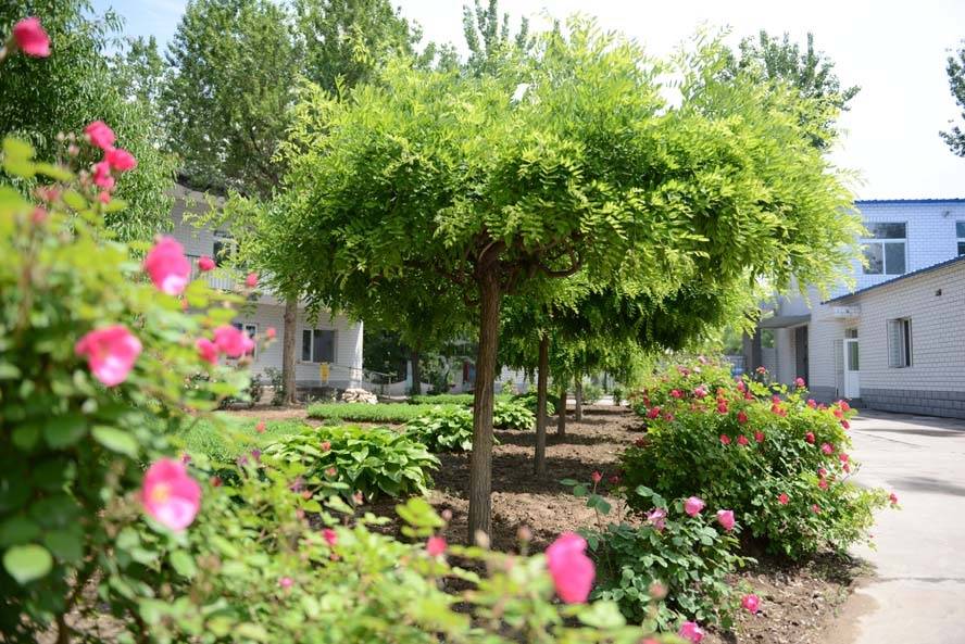 型交通便利适合半自理长者短期托管与康复休养2026最新麻将胡了2试玩模拟器鲁谷和悦会养老照料中心：社区嵌入(图16)