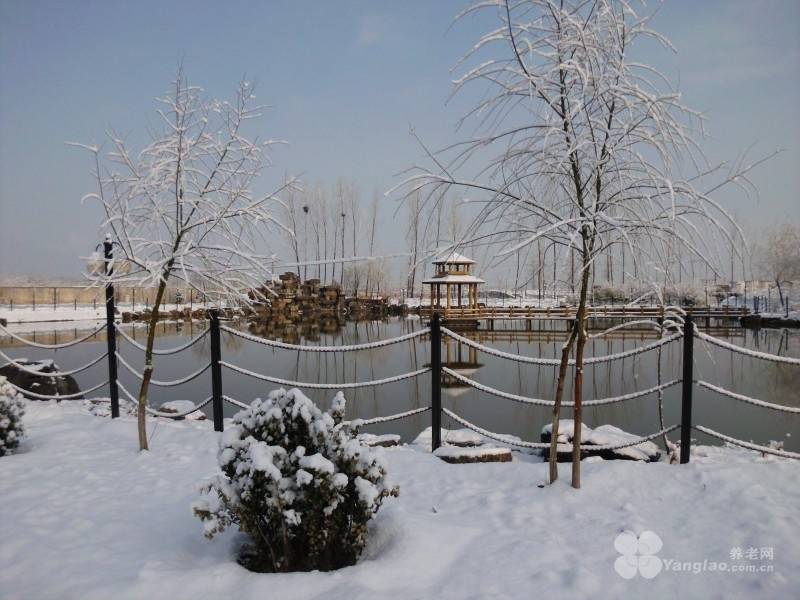 型交通便利适合半自理长者短期托管与康复休养2026最新麻将胡了2试玩模拟器鲁谷和悦会养老照料中心：社区嵌入(图26)